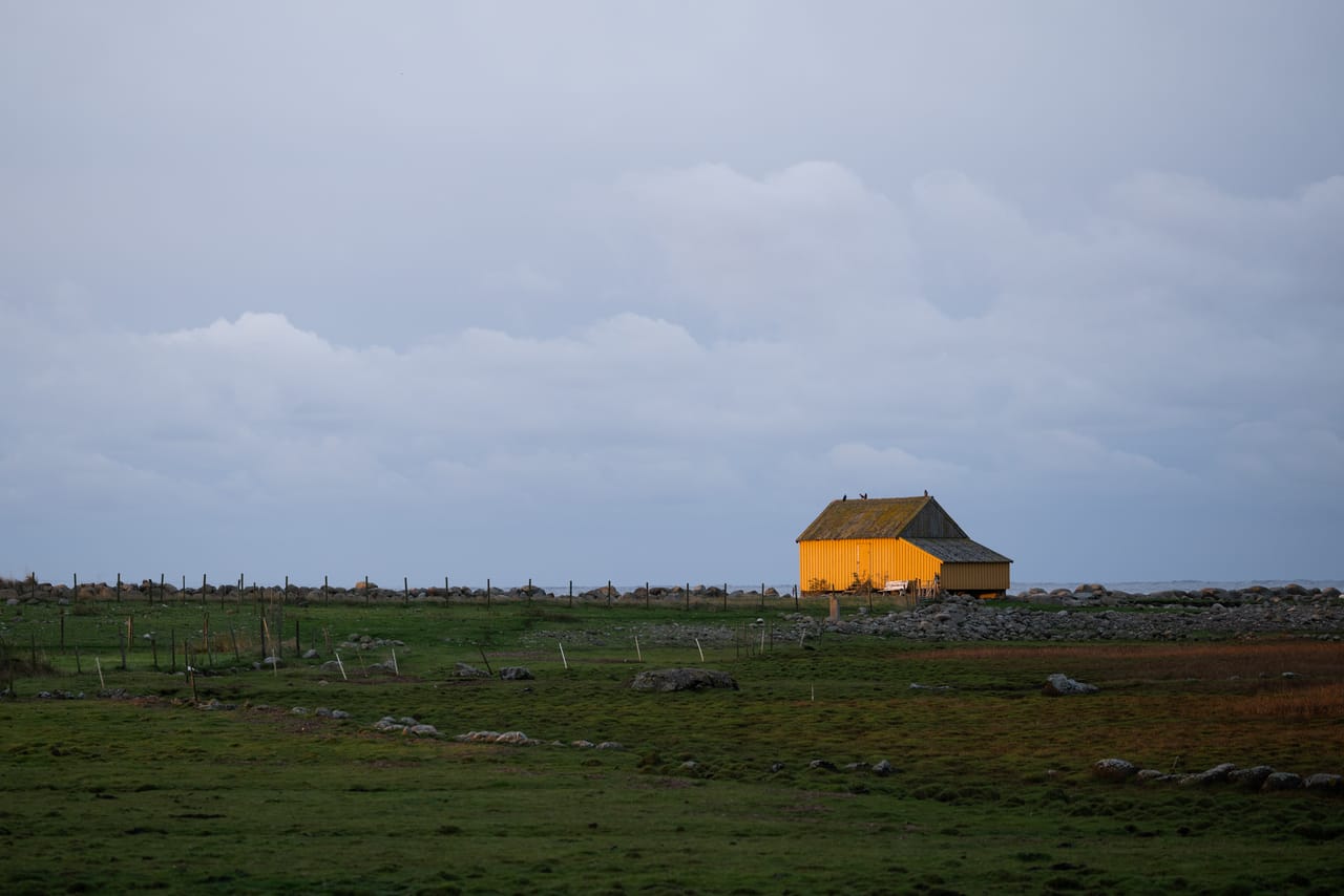 Gulebua, det gule naustet ved Lista fyr, i morgensol mot en blygrå himmel, med beitemark, steiner og gjerdestolper foran.