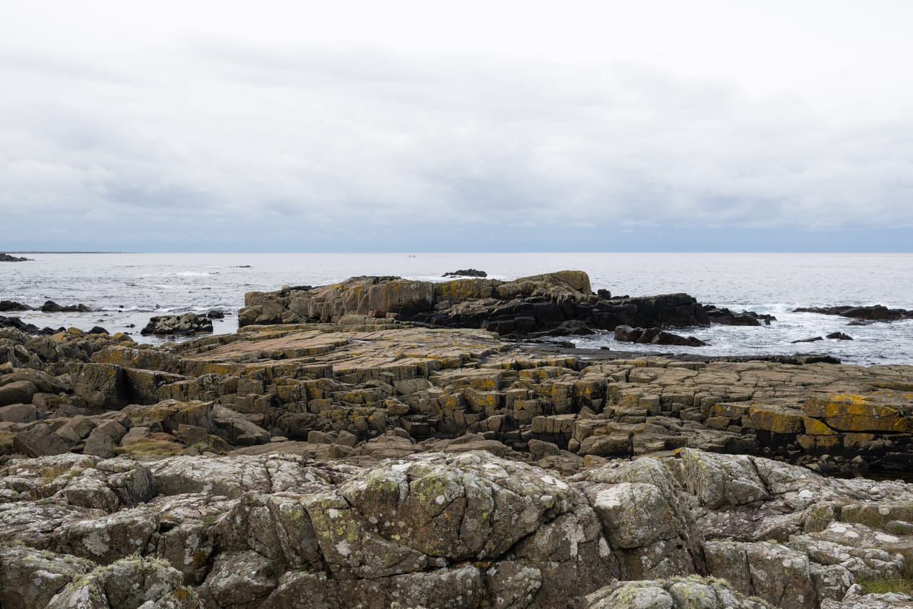 Lagdelte bergflater med gul lav som strekker seg ut i havet ved Håle, under et grått skydekke.