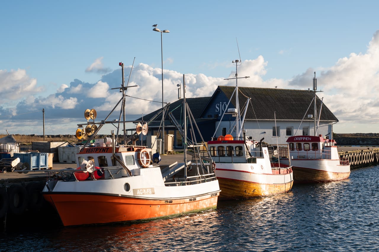 Tre fiskebåter i oransje, hvitt og rødt fortøyd i havna i Borhaug i lav ettermiddagssol, med et hvitt bygg bak.