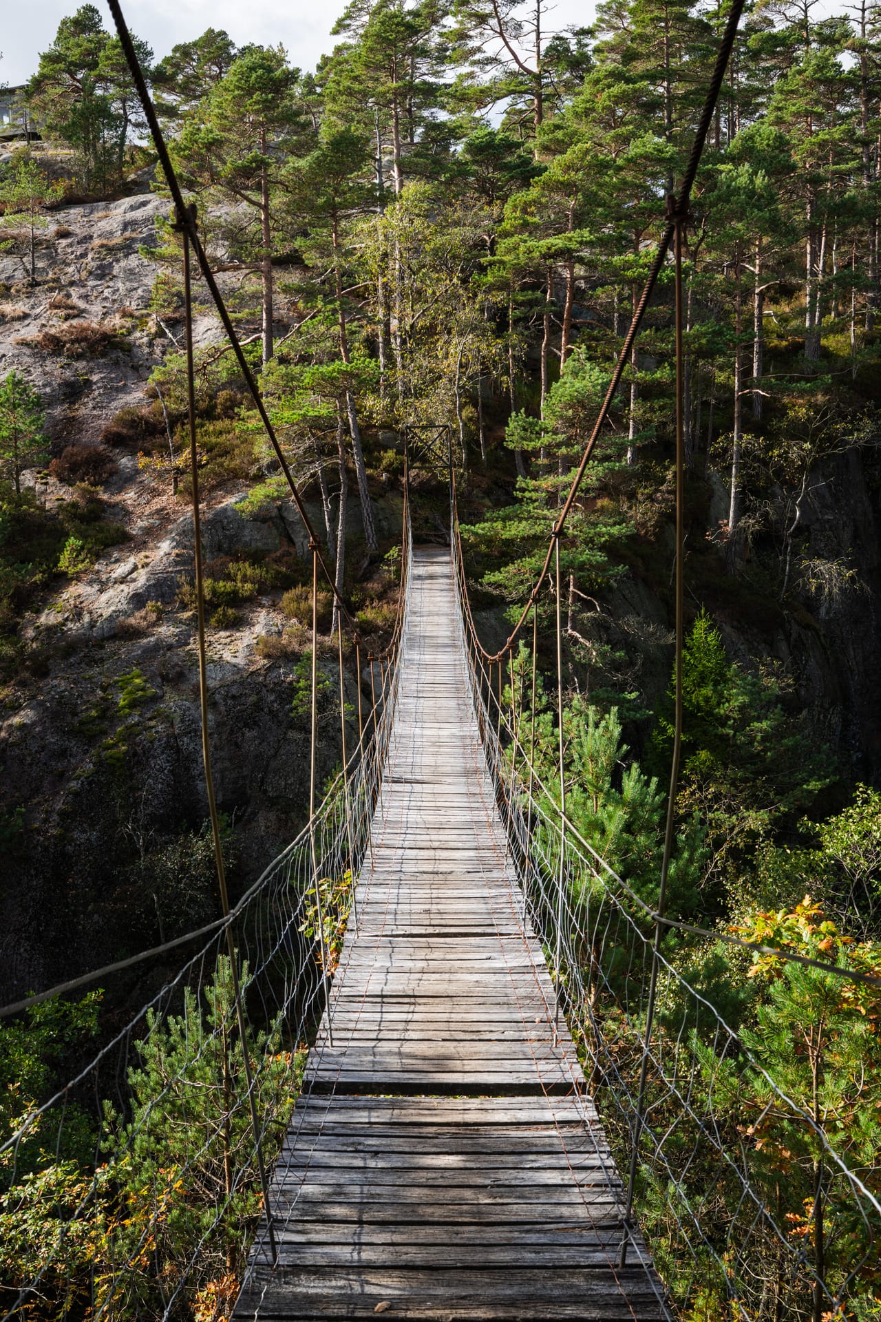 Hengebro av treplanker over en kløft, med furuskog og berg på andre siden.