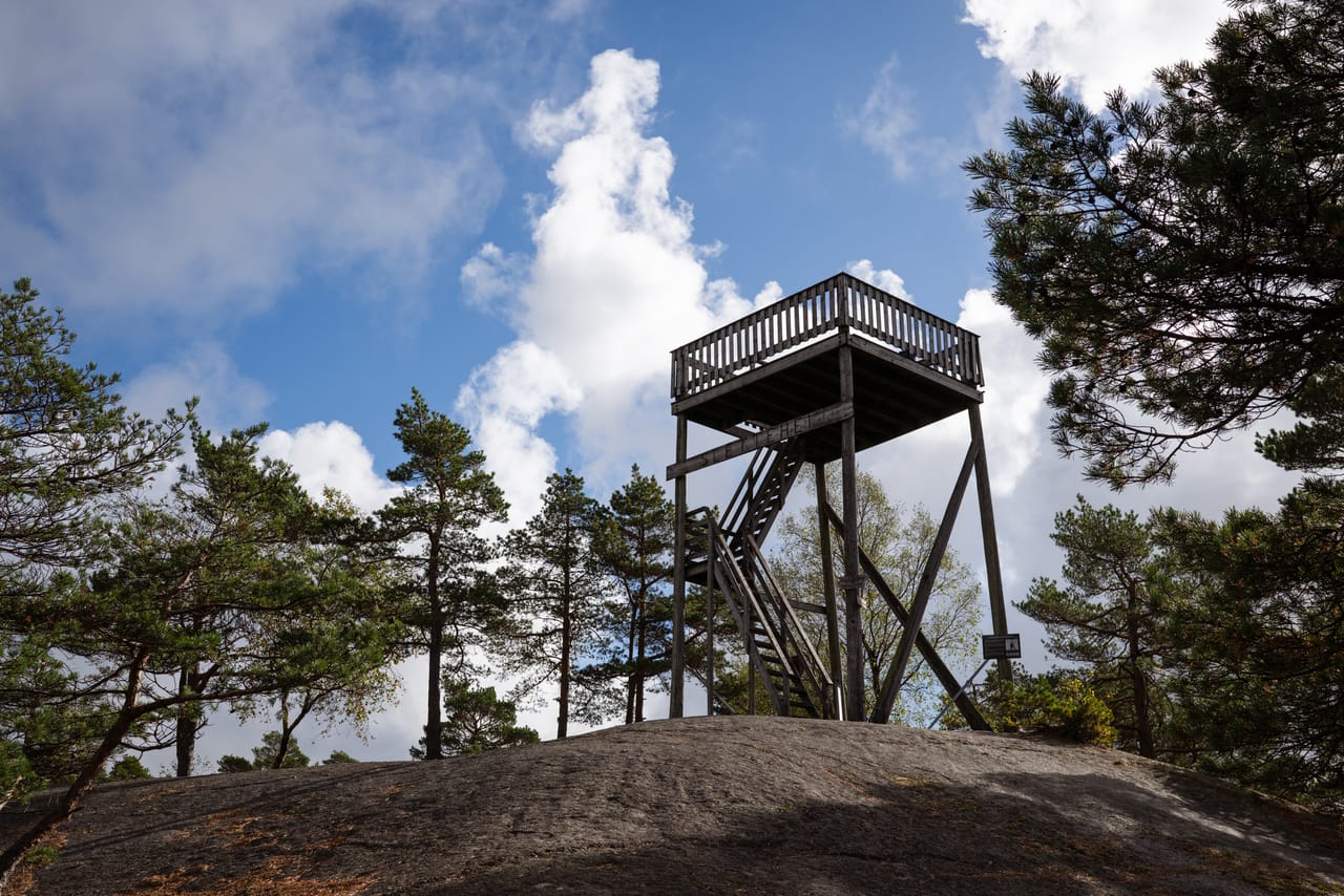 Utsiktstårnet i tre på Slettehei, sett fra svaberget nedenfor, mellom furutrær.