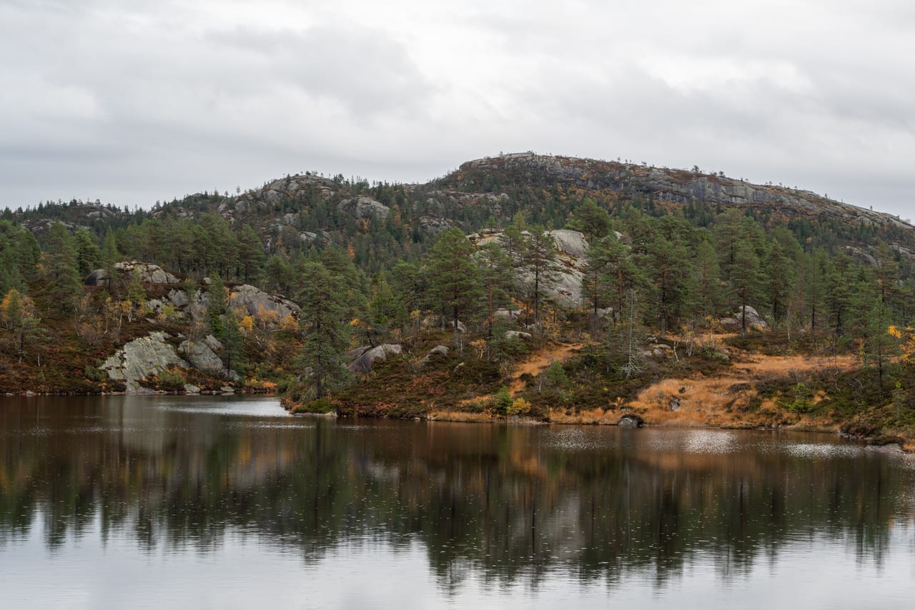 Stille vann som speiler en ås med furuskog og grå bergknauser under et grått skydekke.