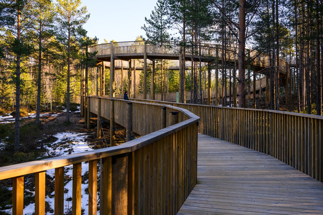 Benk på toppen av Tretoppvegen med utsikt over skog og vann.
