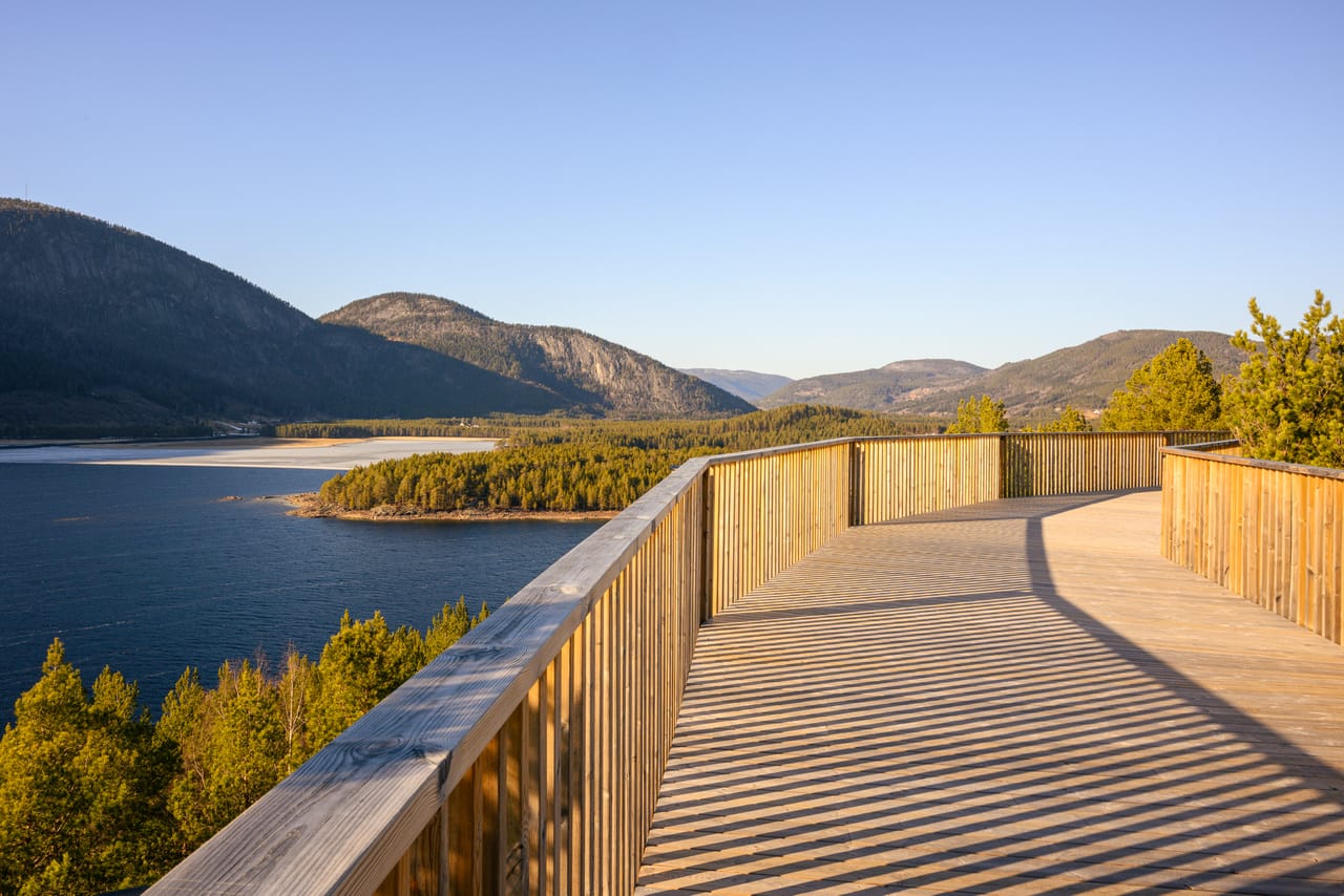 Utsikt fra tretoppstien over skog og vann.